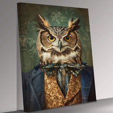 Owl  as Human in Clothes
