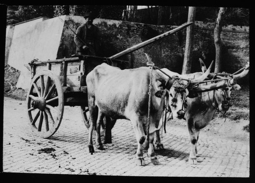 Magic lantern slide - lantern, of