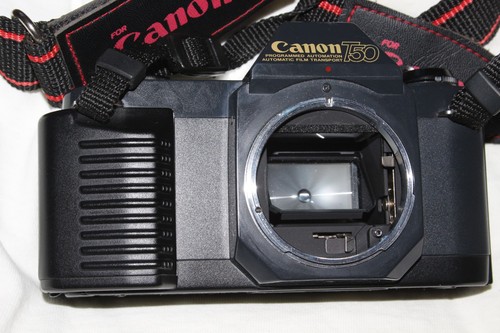 Canon t50 slr camera body - t50,