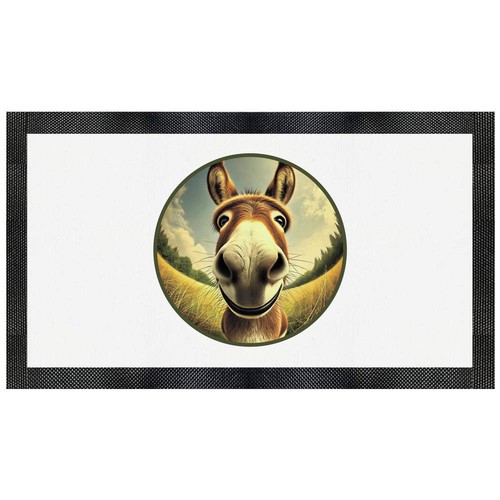 Smiling donkey pet feeding - donkey',