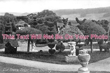 OX 949 - Cut Trees, Friar