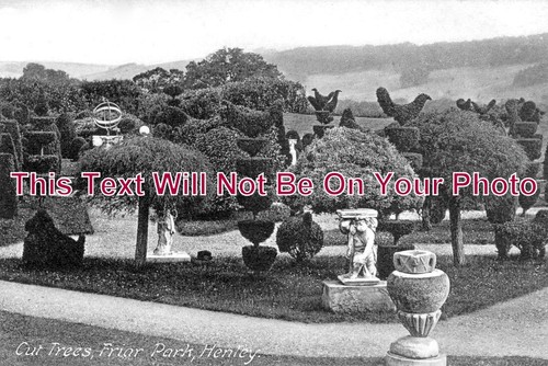 949 cut trees friar - 949,