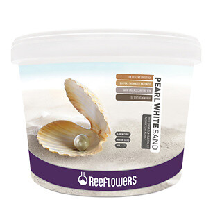 Reeflowers pearl white - pearl, sand