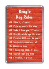 Beagle Dog Rules, Funny Dog