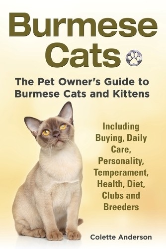 Colette anderson burmese cats - colette,