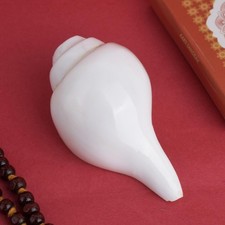 Natural Vamavarti Shankh Conch