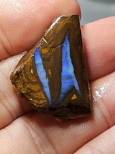 45cts Australian Boulder Rough opal  Gamble stone