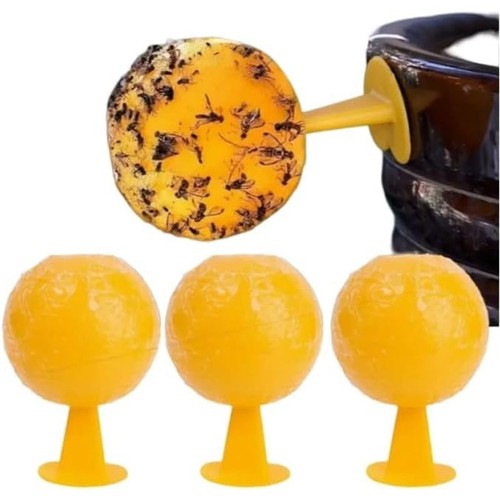 Pack indoor fly sticky traps - fly,