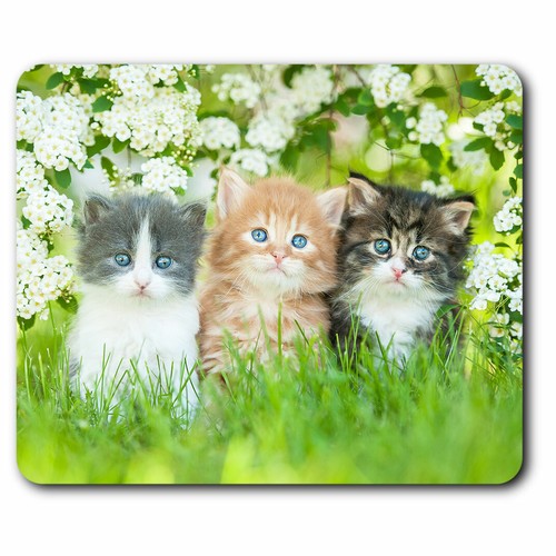 Computer mouse mat gorgeous - mouse,