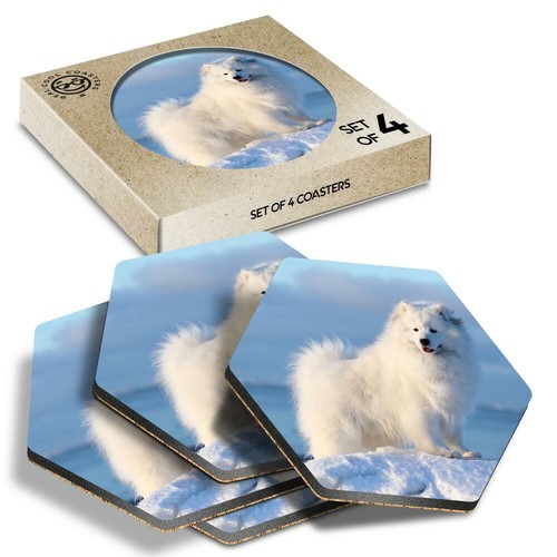 Hexagon coasters samoyed - hexagon,