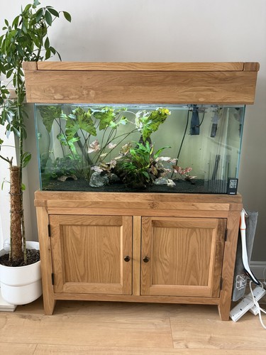 Aqua oak solid - aqua,