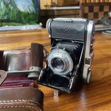 Balda Rigona  Collectable