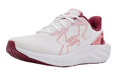Nwob under armour - armour, ascend
