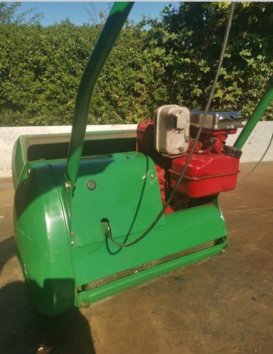 Lawn mower - lawn,