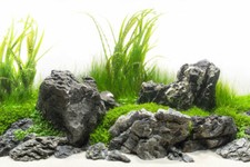 Aquarium Background