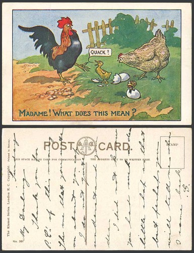 Donald mcgill old postcard - donald,