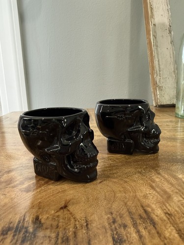 Crystal skull head - skull,