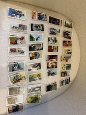 Brooke Bond PG Tips Picture Card Collection (over 350) xmas stocking  filler