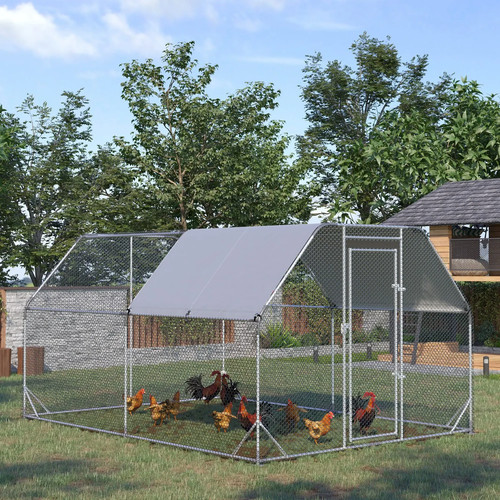 Walk chicken run - chicken,