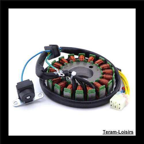 Ignition stator for polaris - for,