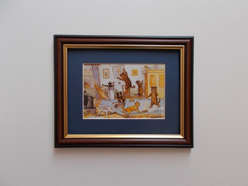 Comical cats framed - comical,