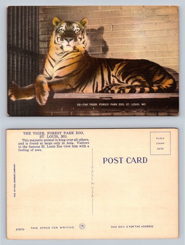 Tiger forest park - at, st