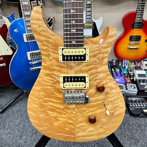 Prs custom electric - se, 24