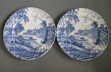 Vintage Ridgway Meadowsweet