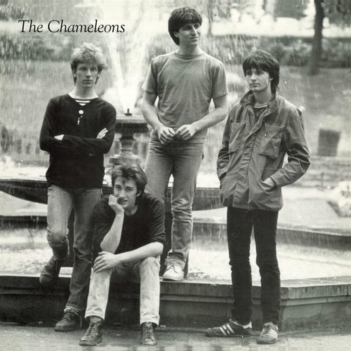 The chameleons tony fletcher - tony,
