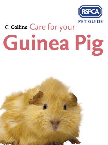 Care for your - guinea, pig
