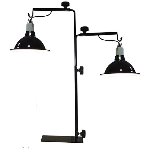 Komodo double light - komodo,