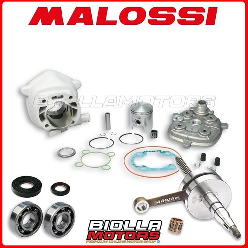 Cylinder shaft kit malossi - cylinder,