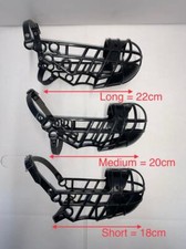 DOG WHIPPET SALUKI  DON PARE