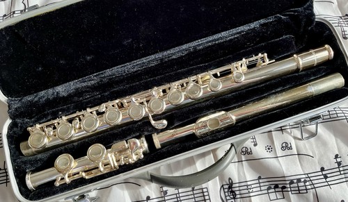 Intermusic flute hard case - intermusic,