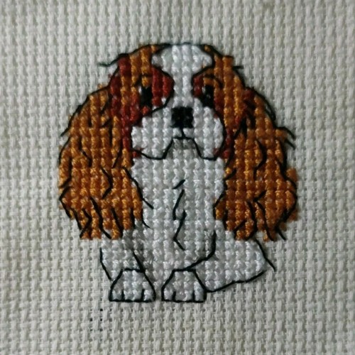 Finished cross stitch framed - stitch,