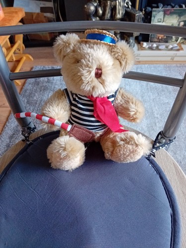 The teddy bear collection - teddy,