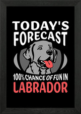 Labrador Framed Wall Art