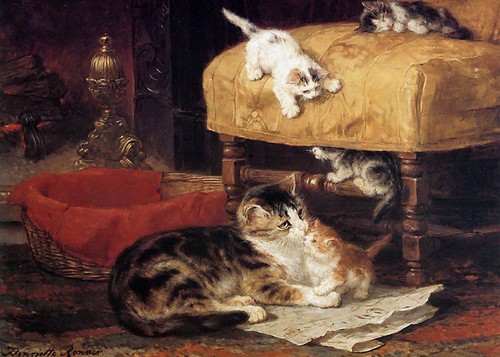 Henriette ronner knip cat - henriette, ronner-knip