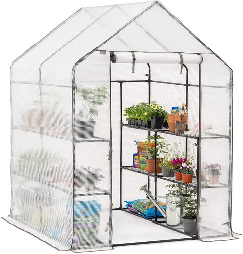 Christow walk greenhouse - walk,