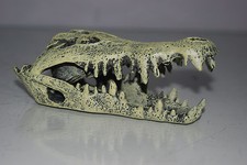 Aquarium Or Vivarium Detailed