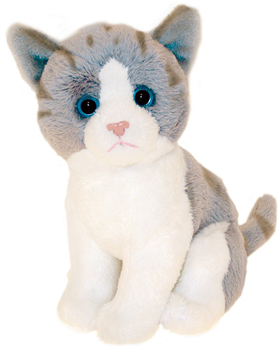 Grey tabby cat teddy - tabby,