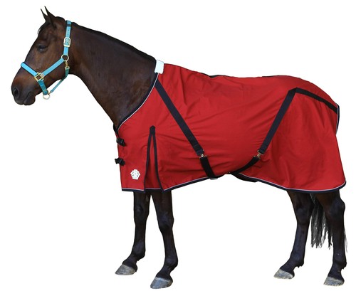 Teke deluxe horse canvas - deluxe,