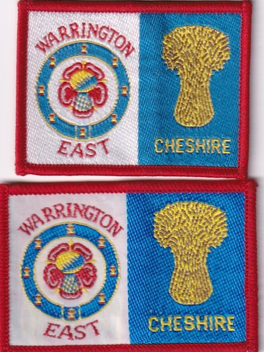 Boy scout double badge - boy,