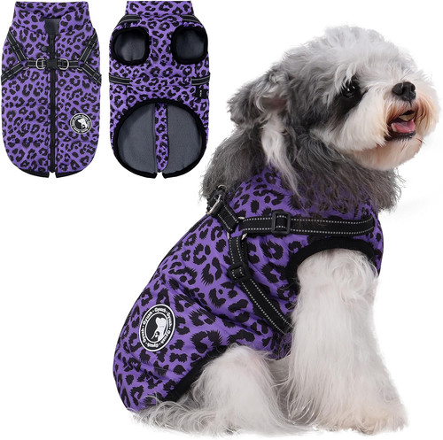 Dog winter coat - winter, m