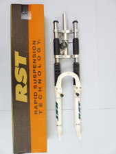 RST 461 / D.Hill  Mountain