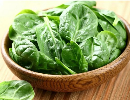 400 spinach matador seeds - matador,
