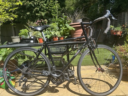 Thorn audax iii - audax, steel
