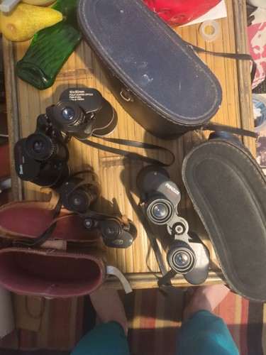 Job lot binoculars - lot, prinzlux