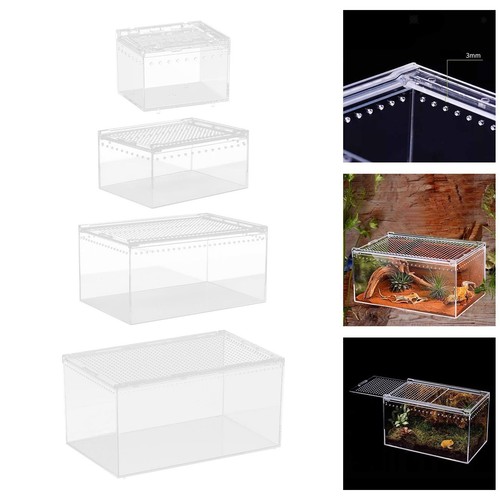 Reptile breeding box enclosure - box,