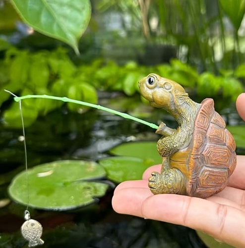 Tortoise turtle fishing garden - tortoise,